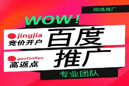 某某sem广告公司成功案例：如何通过SEM优化提高电商销售额