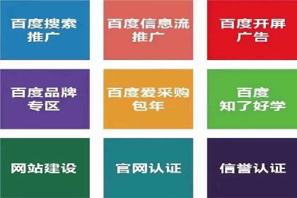 百度竞价推广公司经典案例解析：广告投放策略的智慧